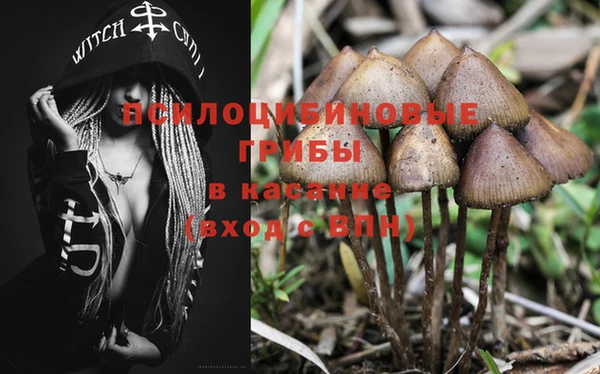 MDMA Магадан