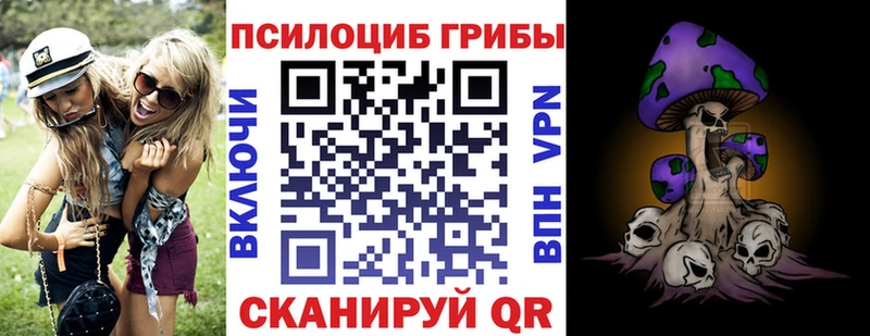 Галлюциногенные грибы мицелий Купить закладки Родники
