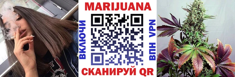 Бошки марихуана THC 21%  Купить где  Родники 